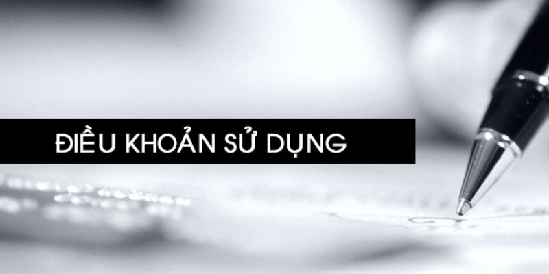 Cam kết đặt ra trong điều khoản dịch vụ VeboTV