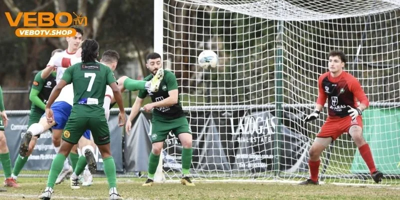 Soi kèo chiến thuật Bentleigh vs Manningham