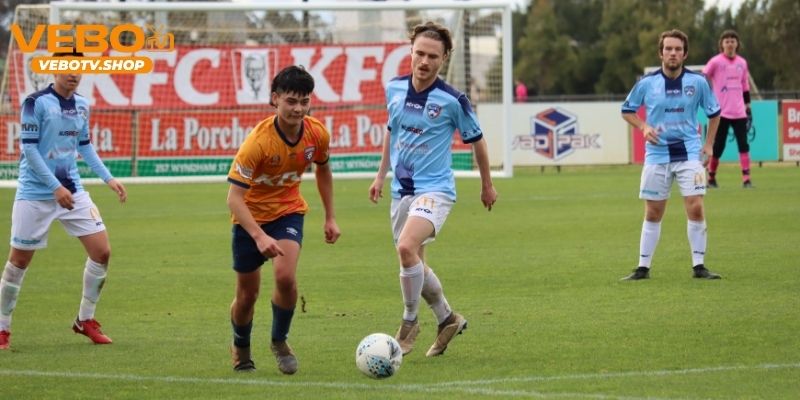 Nhận Định Bentleigh Greens